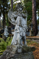 Fototapeta premium Cmentarz,groby,pomniki. Święto zmarłych