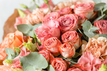 Powdery pink color. Flower branch rose, Buds, close-up.