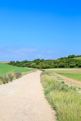 Fototapeta na wymiar Pathway in the Countryside