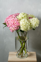 hydrangeas in a glass vase. Hydrangeas produce larger mop heads made up of clusters of small flowers from Summer through Autumn.