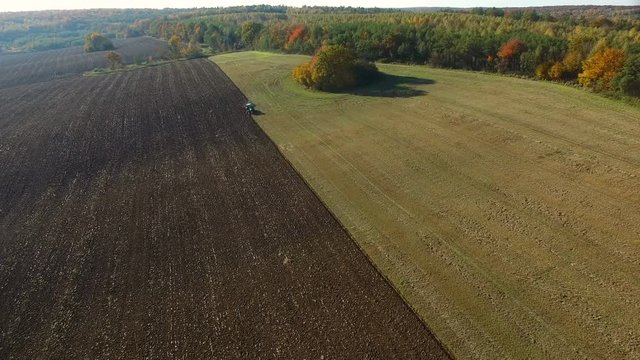 Aerial shot of tractor plowing black soil close to forest. Autumn sunset.