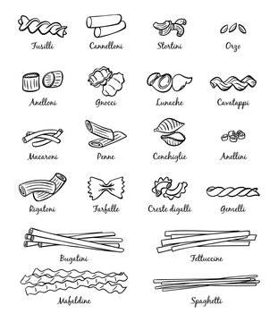 Linear pictures of classical italian food. Different types of pasta