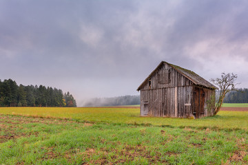 Obraz premium Autumn landscape - Black Forest. View over the autumnal Black Forest late afternoon with wooden cabin in the foreground.