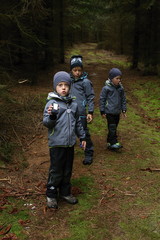 Three boys playing with lanterns in the woods
