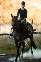Fototapeta premium Young pretty girl riding a horse with backlit leaves behind