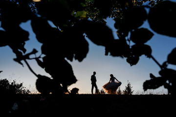 Fototapeta na wymiar Look through the bushes at silhouettes of wedding couple standing on the hill