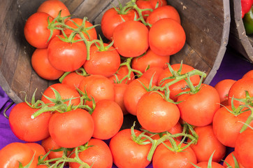 Ripe red Tomatoes