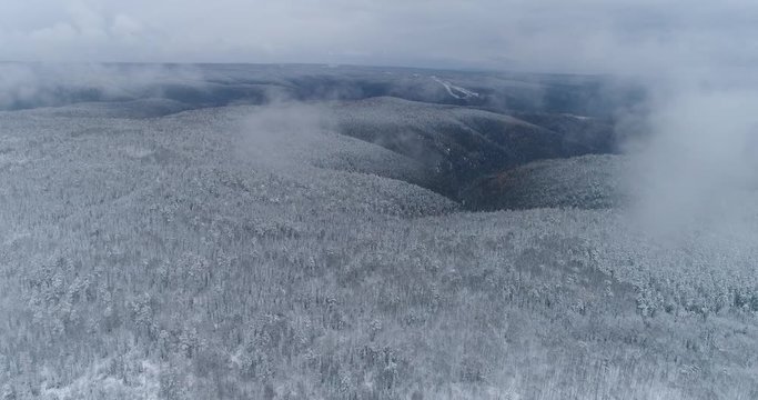 Siberian taiga in early winter. First snow. Heavy snowfall. Aerial View.