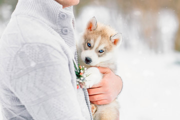 The guy holding the husky puppy on his hands.