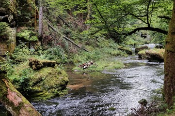 Bad Schandau