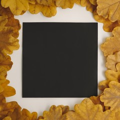Creative layout made of flowers and leaves with paper card note. Nature concept