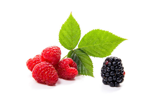 Ripe raspberries with leaf and blackberry isolated on white background.
