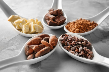 Spoons with different cocoa products on grey background