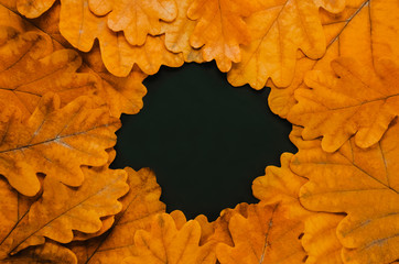 Creative layout made of flowers and leaves with paper card note. Nature concept