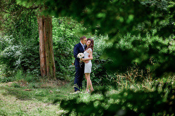 Naklejka na ściany i meble Look from behind the trees at wedding coupl hugging tender