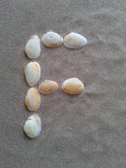 alphabet buchstabe F aus muscheln im strandsand