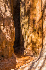 Crevice in the red loamy wall of Providence Canyon in sunny day, USA