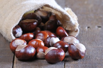 Close-up of chestnuts scattered on wooden table
