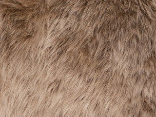 Fur background, natural beige background