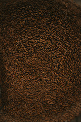 texture background of petals of cones