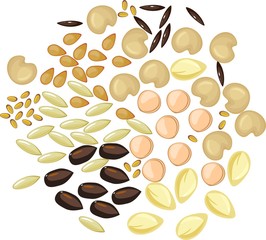 Set of different plant seeds on white background