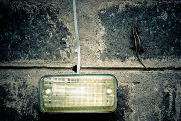 Wall with African lizard stripe mantle