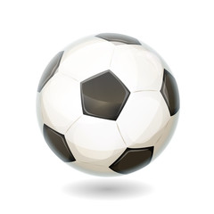 Soccer Ball Isolated