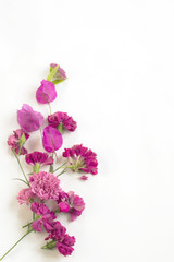 Obraz na płótnie Canvas pink flowers on a white background