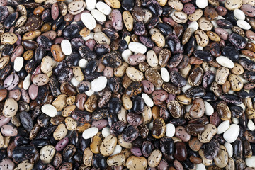 Pile of pintobeans