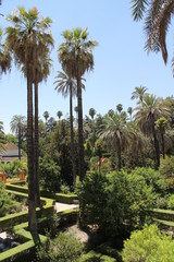 Obraz premium real alcazar