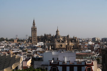 Fototapeta premium sevilla