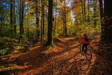 Papier Peint photo Lavable Vélo Cycling, mountain bikeing woman on cycle trail in autumn forest. Mountain biking in autumn landscape forest. Woman cycling MTB flow uphill trail.
