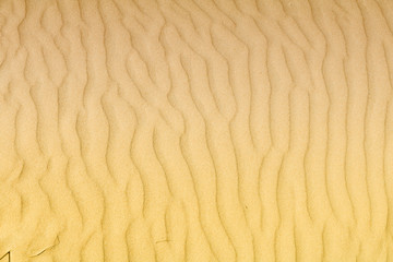 Sand texture. Close up of sand grooves made by the wind.