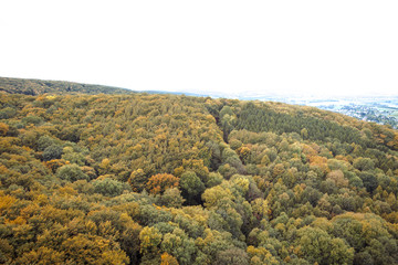 Fototapeta premium Aerial drone view of colorful, wonderful, amazing, autumn forest, wienerwald, lower-austria