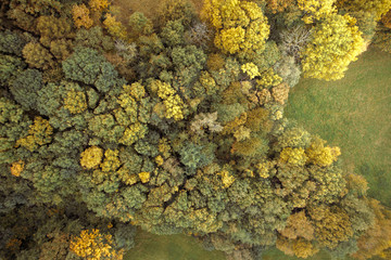 Aerial drone view of colorful, wonderful, amazing, autumn forest, wienerwald, lower-austria