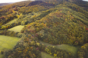 Aerial drone view of colorful, wonderful, amazing, autumn forest, wienerwald, lower-austria