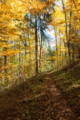 Herbststimmung