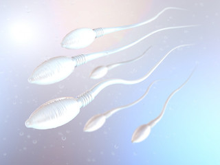3d illustration of sperm cells moving to the right towards egg cell - obrazy, fototapety, plakaty