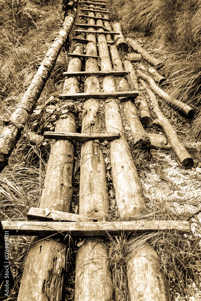 Wall mural old wooden fence