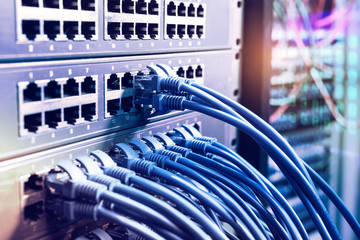 Ethernet Cables Connected to Internet Switch.