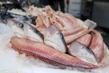 Galeus or Mustelus spp sharks at the greek fish market.