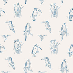 Beautiful tropical seamless pattern with different exotic birds sitting on tree branches and flying on white background. Monochrome vector illustration for wallpaper, fabric print, wrapping paper. © Good Studio