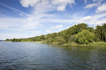 Seeufer, M&uuml;ritzsee, M&uuml;ritz-Nationalpark,  Mecklenburgische Seenplatte, Mecklenburg Vorpommern, Deutschland, Europa