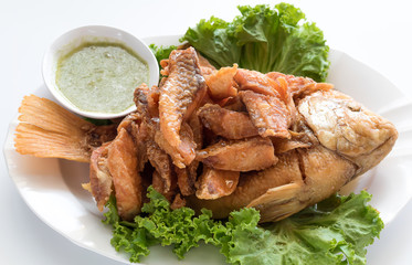 Thailand food , Fried Fish with Fish Sauc(Pla Tod Num-pla)