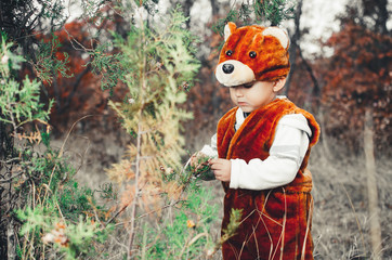 child bear costume in the forest, very cute and funny