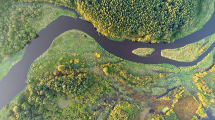 Aerial wiev of natural river - obrazy, fototapety, plakaty