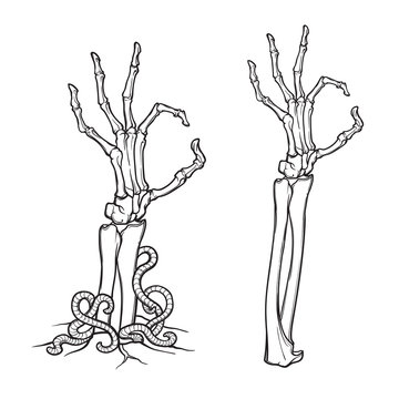 Zombie body language. OK Sign. Pair of skeleton hands rising from the ground and torn apart. linear drawing isolated on white background. EPS10 vector