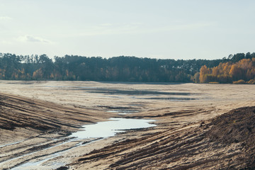 Dry riverbed of lake in forest