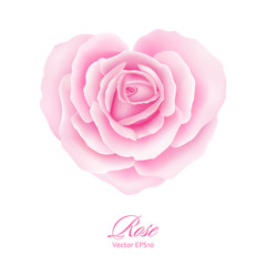 Rose flower in heart shape. Vector illustration