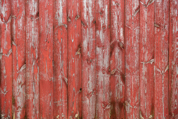 Red wooden background